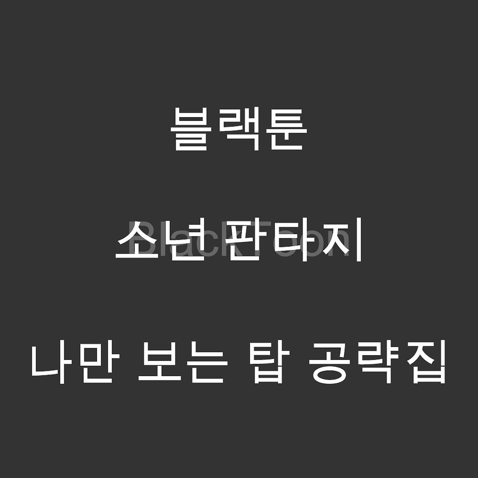 나만 보는 탑 공략집 - 웹툰 | 소년 판타지
