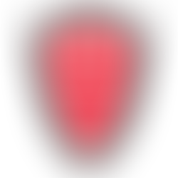 20250114 몬차 vs 피오렌티나 경기 예측