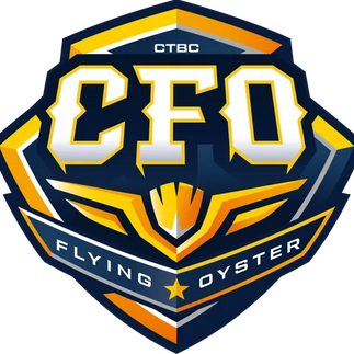 CFO 엠블럼