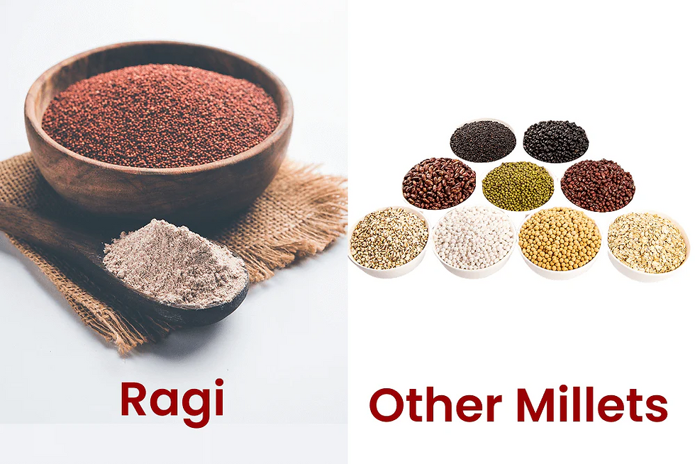 Grains of Truth: Ayurveda, Millets, and the Misunderstood Metric of Health