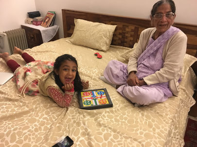 Witnessing a Transition: Life and Death Through the Lens of Ayurveda