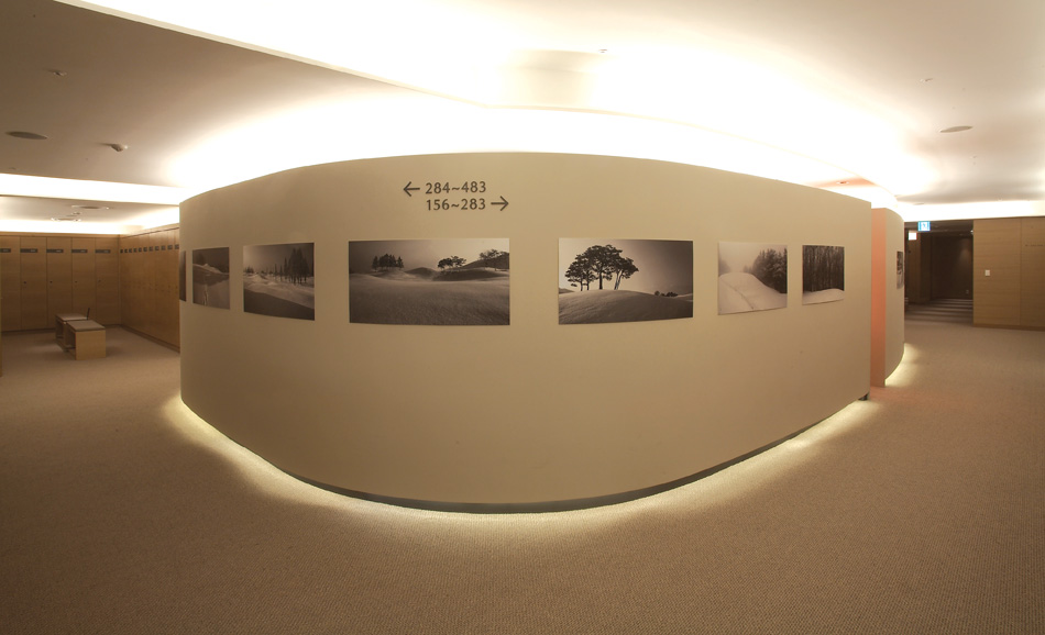 Hotel and resort carpet