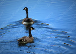 2018 - Adventure Begins