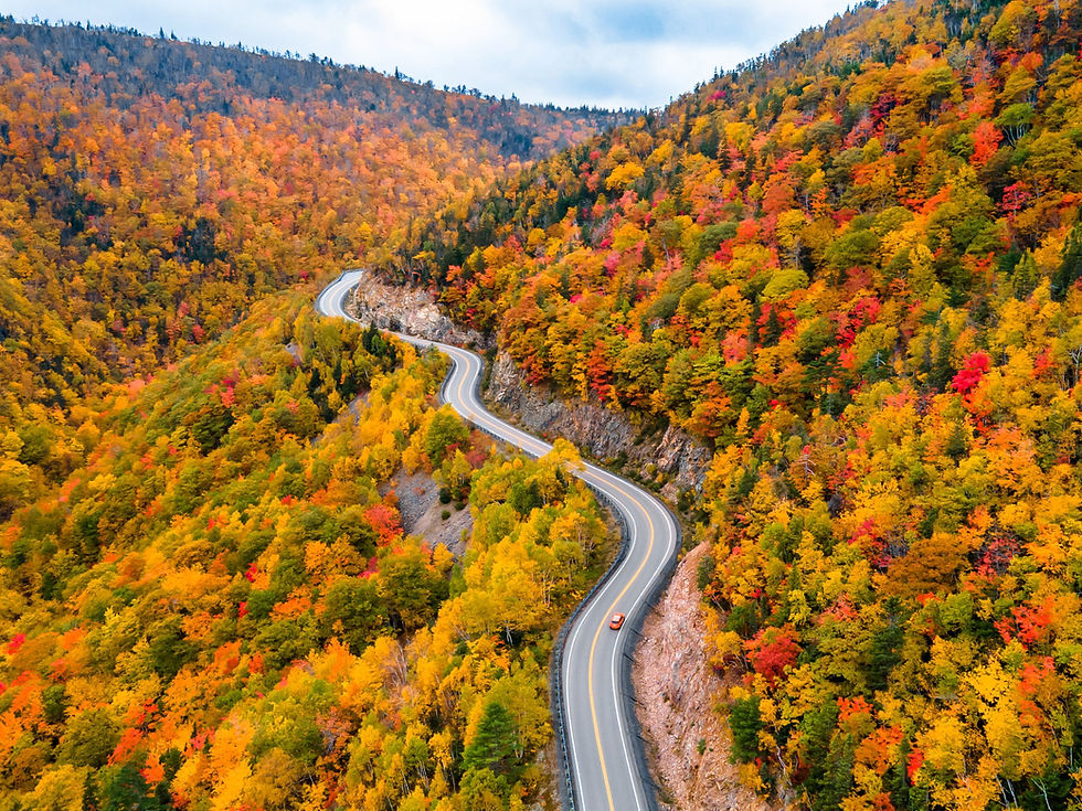 Thumbnail: Cabot Trail | Colombia | Dark Roast | Chocolate