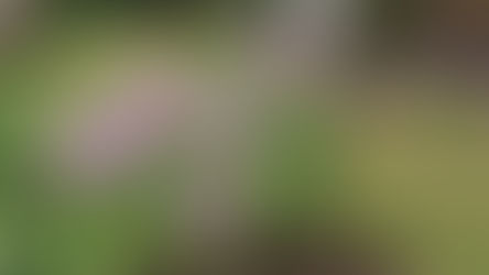 The tall girl in the school photo