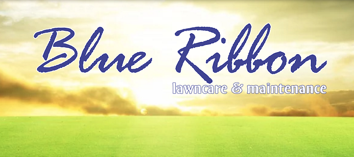 Lawn Care Asheville Blue Ribbon Lawncare Maintenance