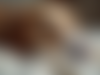 Exploring the Benefits of Reiki for Your Pets