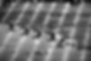 banner grupo BELUFI