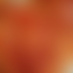 Rondelli ao molho vermelho