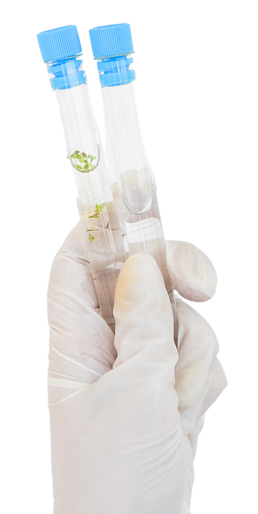 segurando amostras de água