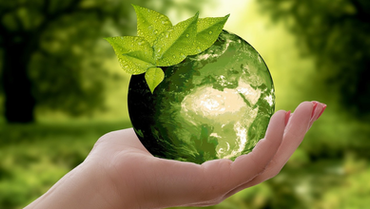 Guardiãs do Clima: Liderança Feminina na COP30