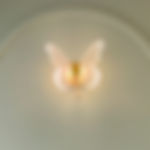 IMG_7980_edited.jpg