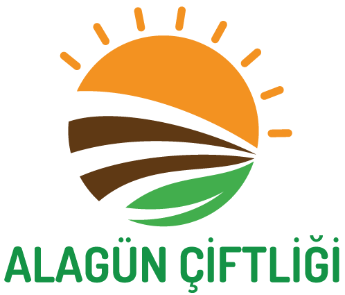 Web-Logo-Yazılı.gif