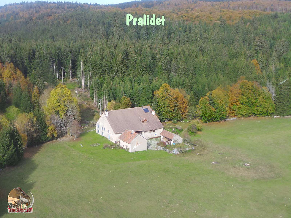 Pralidet2.jpg