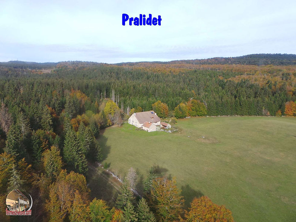 Pralidet1.jpg