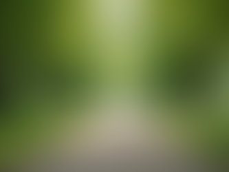 Personal Journey: Living with Parkinson's and Staying Active