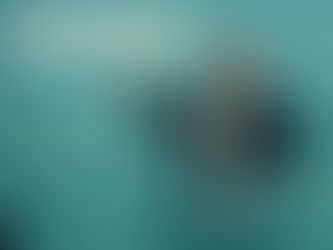 Congresso PD nelle nebbie, ma Zingaretti è il primo a candidarsi come nuovo segretario