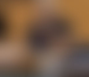 Emiliano, la Xylella e Coccolino