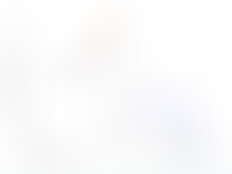 Analisi dei programmi dei partiti secondo l'Istituto Cattaneo