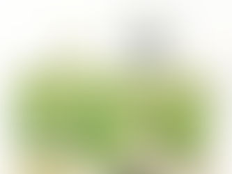 LOCKDOWN per TUTTI. La Situazione in Europa. Mezza fake news su Papa Leone XII 1823-1829