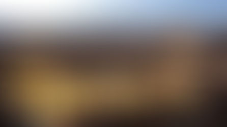 Il Rapporto Rota su Torino: la fotografia di una città in declino