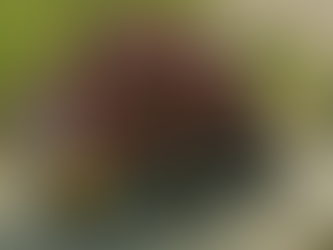 Editoriale # 169 progressisti lombardi