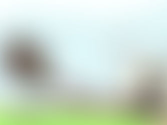 Istat: l’Italia più povera e «diseguale»