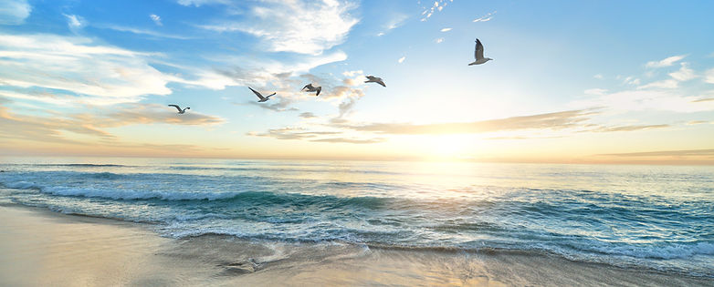 frank-mckenna-OD9EOzfSOh0-unsplash.jpg beach scene.jpg