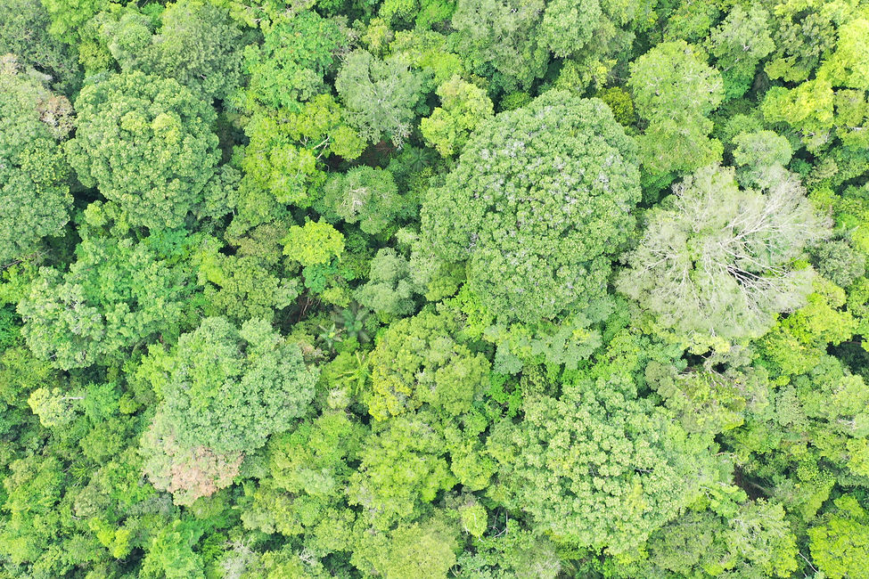 Copy of DJI_0289.JPG.jpg