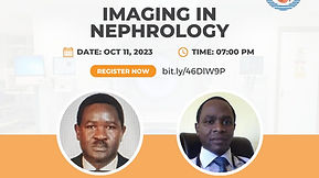 Imaging in nephrology