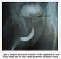 figure 2.jpg
