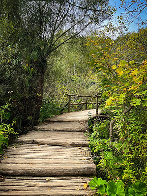 houten pad Plitvice Meren