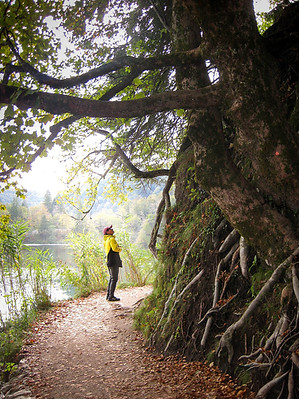 boom plitvice National Park