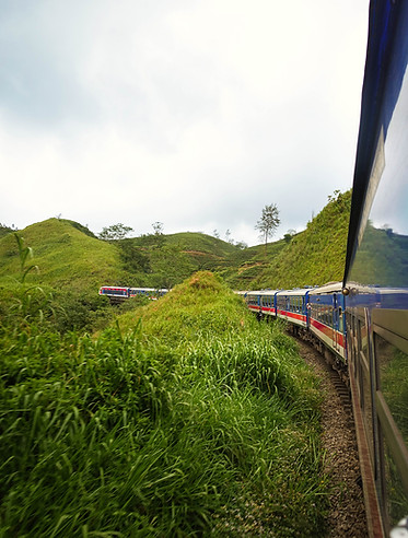 DSC02661-treinreis-Sri-Lanka.jpg