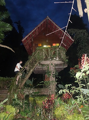 Arts Riverview Lodge boomhut