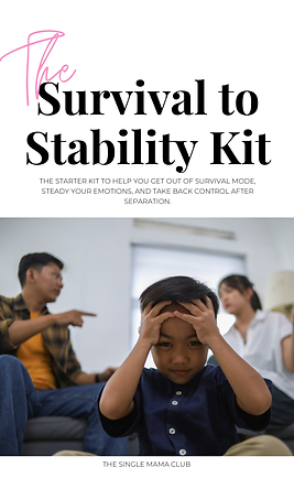 The Survival to Stability Kit PIC.png