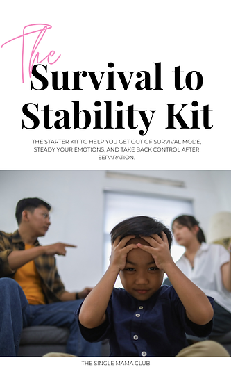 The Survival to Stability Kit PIC.png