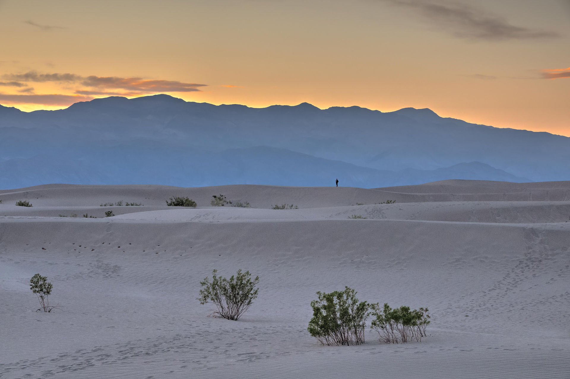 Mesquite Dunes in Death Valley National Park, California