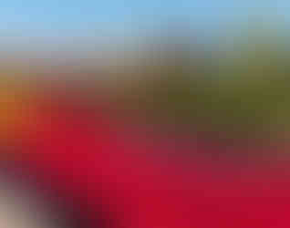 Flower installation at Tiananmen Square in Beijing for the National Holiday.