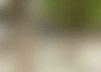 The Long Corridor, the Summer Palace, Beijing China