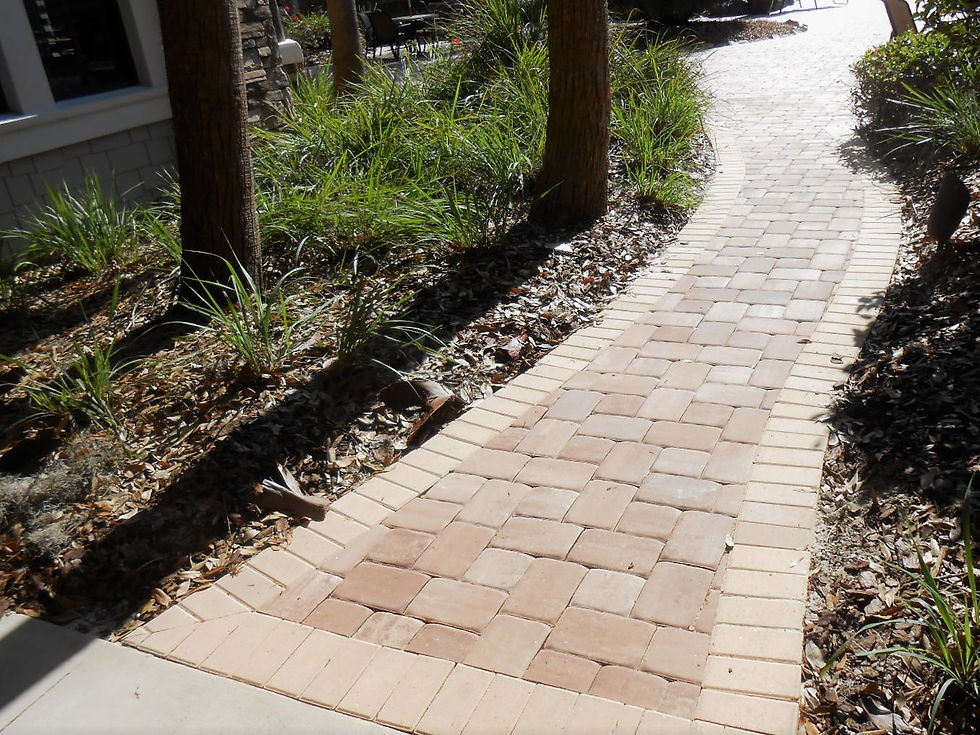 Pavement (WLP)