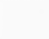 SA_NL_Cove_003.png