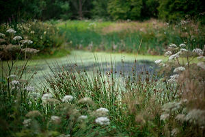 _MG_9678.jpg