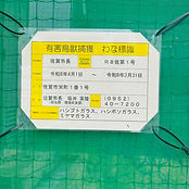 Honjo Country 3.jpg