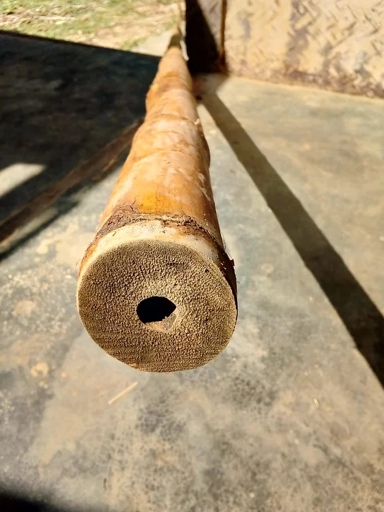 Calcutta bamboo blanks Clearance