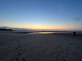 IMG_4445.jpeg