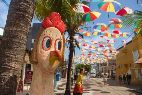 Rua dos guarda chuvas em Porto de Galinnhas, com uma galinha em primeiro plano e céu azul