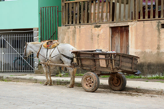 Veículo de tração animal em área urbana do Brasil. Alternativa elétrica substitui carroças em cidades brasileiras