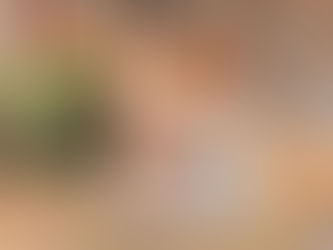 2025년 12월 복각 ‘호지차 코코아’