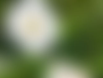 立冬